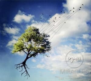 Miracles