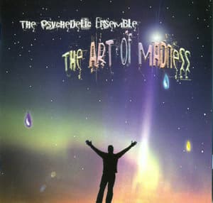 The Art Of Madness