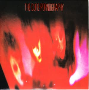 Pornography