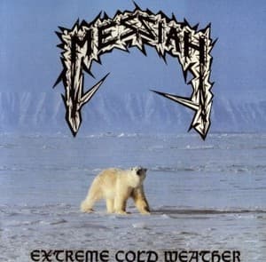 Extreme Cold Weather