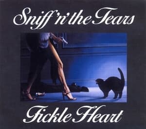 Fickle Heart