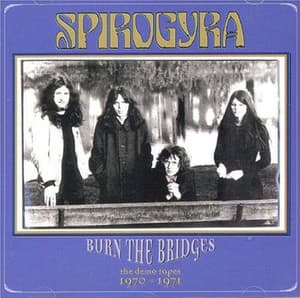 Burn The Bridges