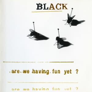 Are We Having Fun Yet?