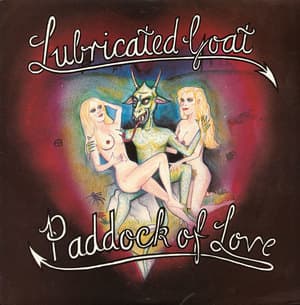 Paddock Of Love