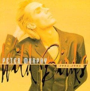Wild Birds 1985-1995