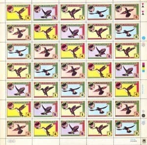 Hummingbird