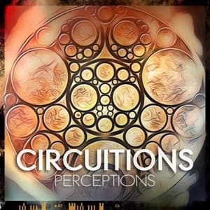 Perception (EP)