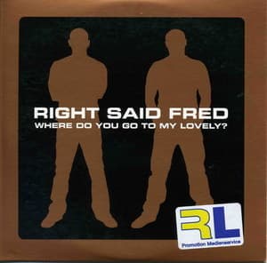 Where Do You Go To My Lovely (promo)