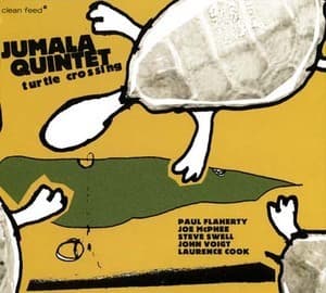 Turtle Crossing