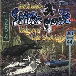 Edge Of The Swamp