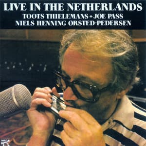 Live In The Netherlands