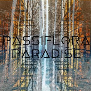 Passiflora Paradise