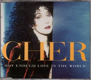 Not Enough Love In The World (single)