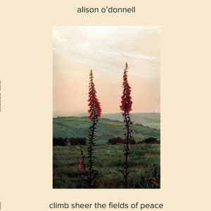Climb Sheer The Fields Of Peace