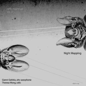 Cello Meetings Vol. 2 - Night Mapping