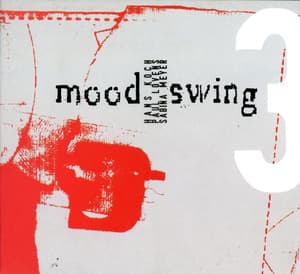 Moodswing 3 Wegen Meines Beines