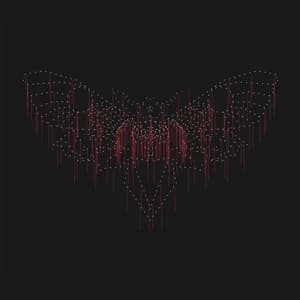 Moth