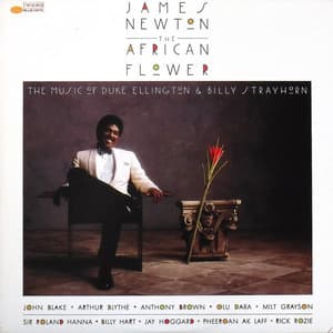 The African Flower