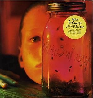 Jar Of Flies