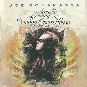 An Acoustic Evening At The Vienna Opera House (2CD)