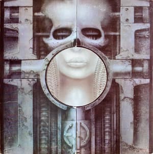 Brain Salad Surgery