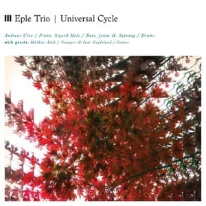 Universal Cycle 