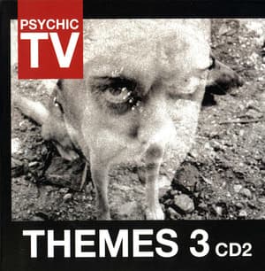 Themes 3