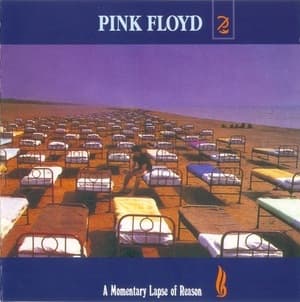 A Momentary Lapse Of Reason