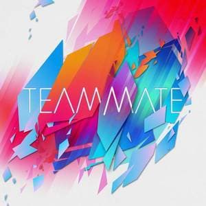 Teammate