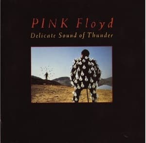 Delicate Sound Of Thunder