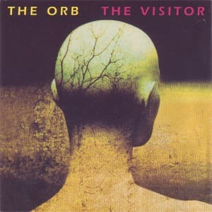 The Visitor