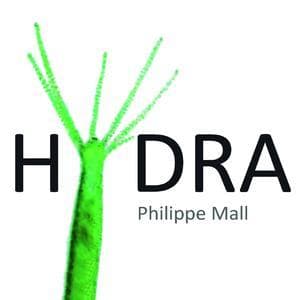 Hydra