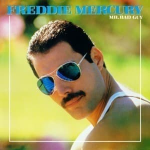 Mr. Bad Guy 