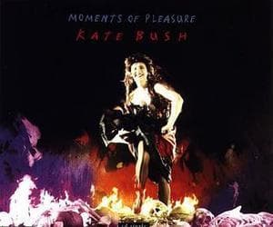 Moments Of Pleasure 