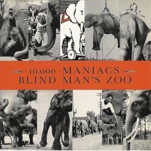 Blind Man's Zoo