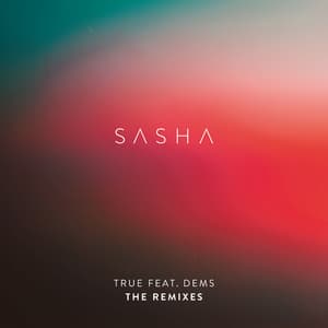True [The Remixes]