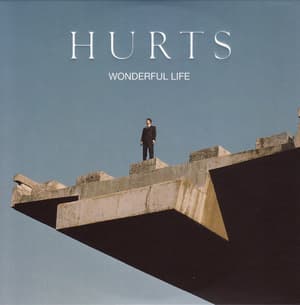 Wonderful Life 