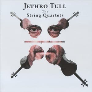 The String Quartets