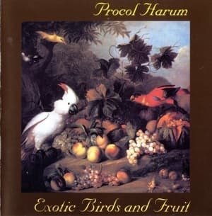 Exotic Birds And Fruit