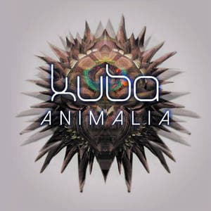 Animalia 