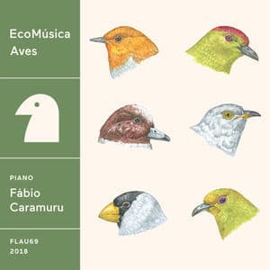 Ecomusica  Aves 