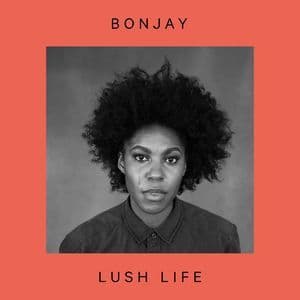 Lush Life 