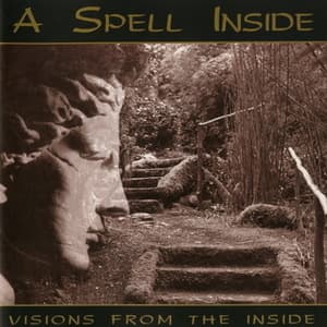 Visions From The Inside