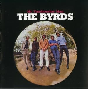Mr. Tambourine Man