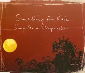 Song For A Sleepwalker