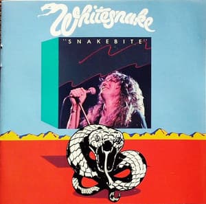 Snakebite