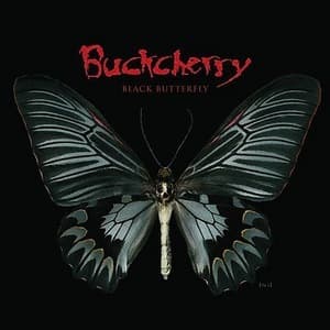 Black Butterfly