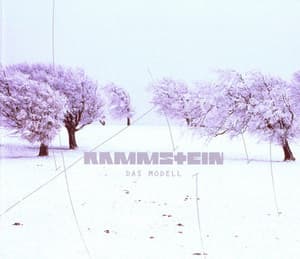 Das Modell  [CDM]