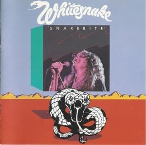 Snakebite