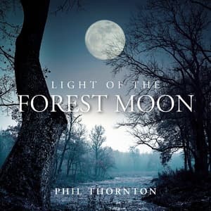 Light Of The Forest Moon